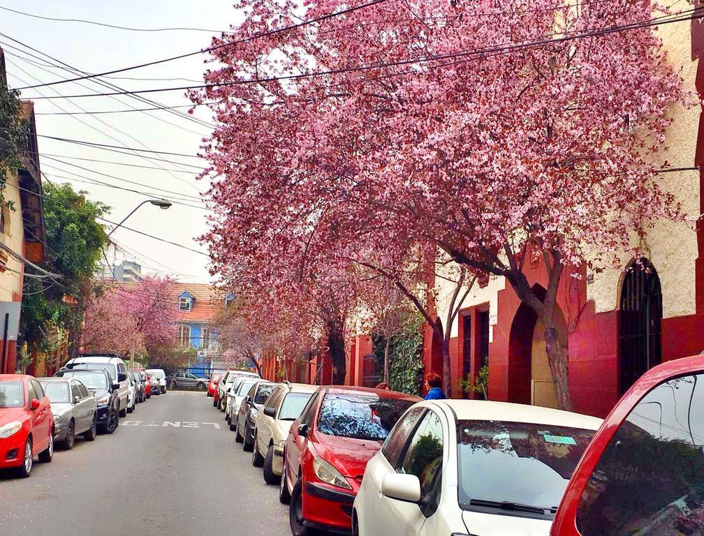 Tralkan B&B Santiago Ngoại thất bức ảnh