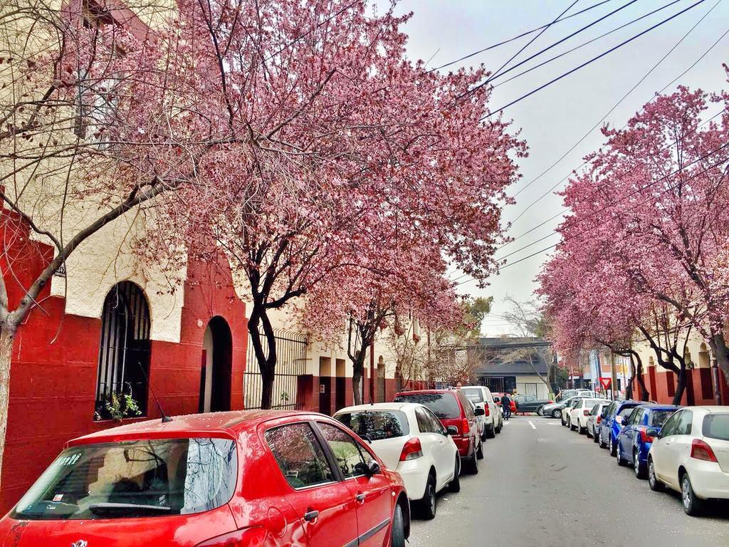 Tralkan B&B Santiago Ngoại thất bức ảnh